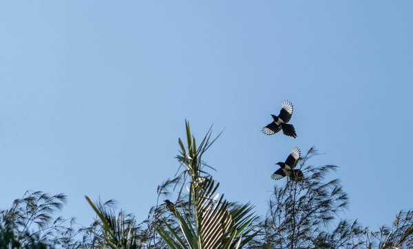 Enfants et posture: développer de bonnes habitudes dès le plus jeune âge